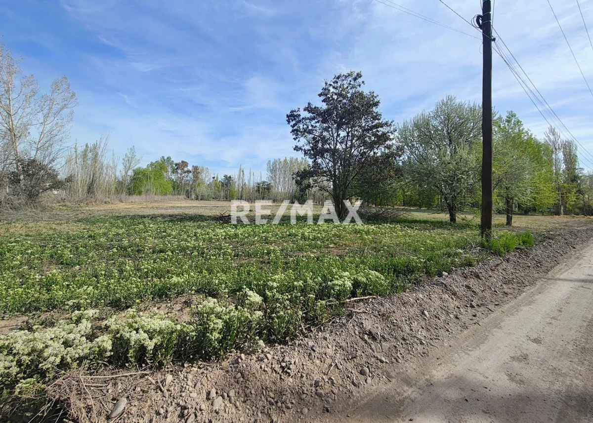 VENTA DE 1/2 HA A 300 MTS DE RUTA 151- CIPOLLETTI foto 4