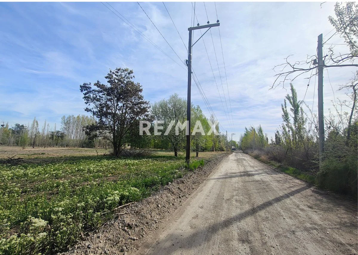 VENTA DE 1/2 HA A 300 MTS DE RUTA 151- CIPOLLETTI foto 5
