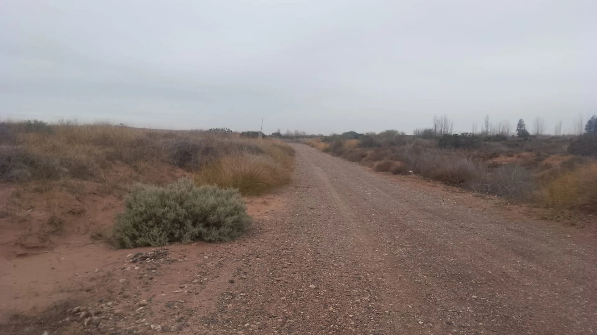 LOTE 600 MTS 2 LOTEO BAR 2