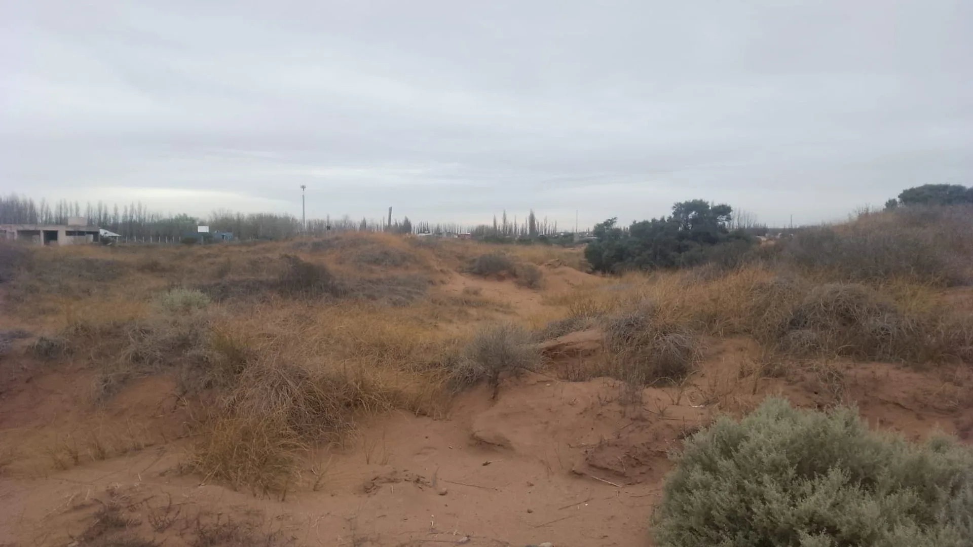 LOTE 600 MTS 2 LOTEO BAR 2 foto 3