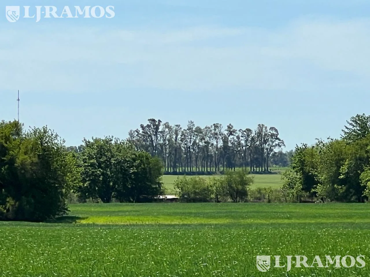 Terreno - Countries/B.Cerrado (Campana) foto 5