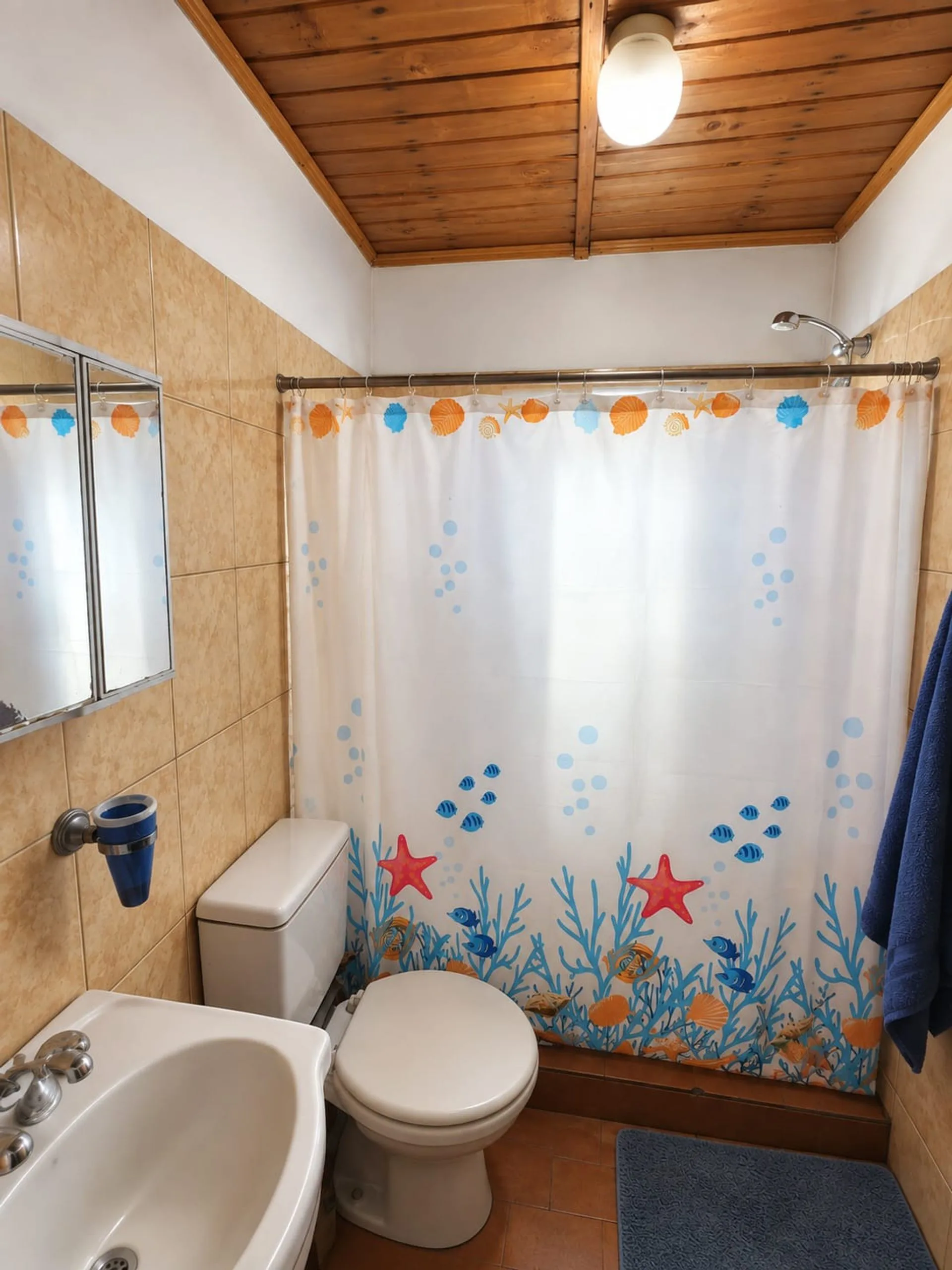 PROPIEDAD EN VENTA EN ANTONIO ROMERO – USHUAIA foto 5