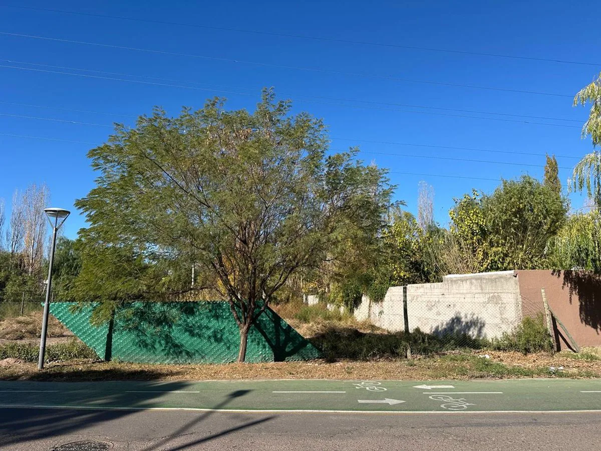 LOTE HUERTO DEL SOL foto 5