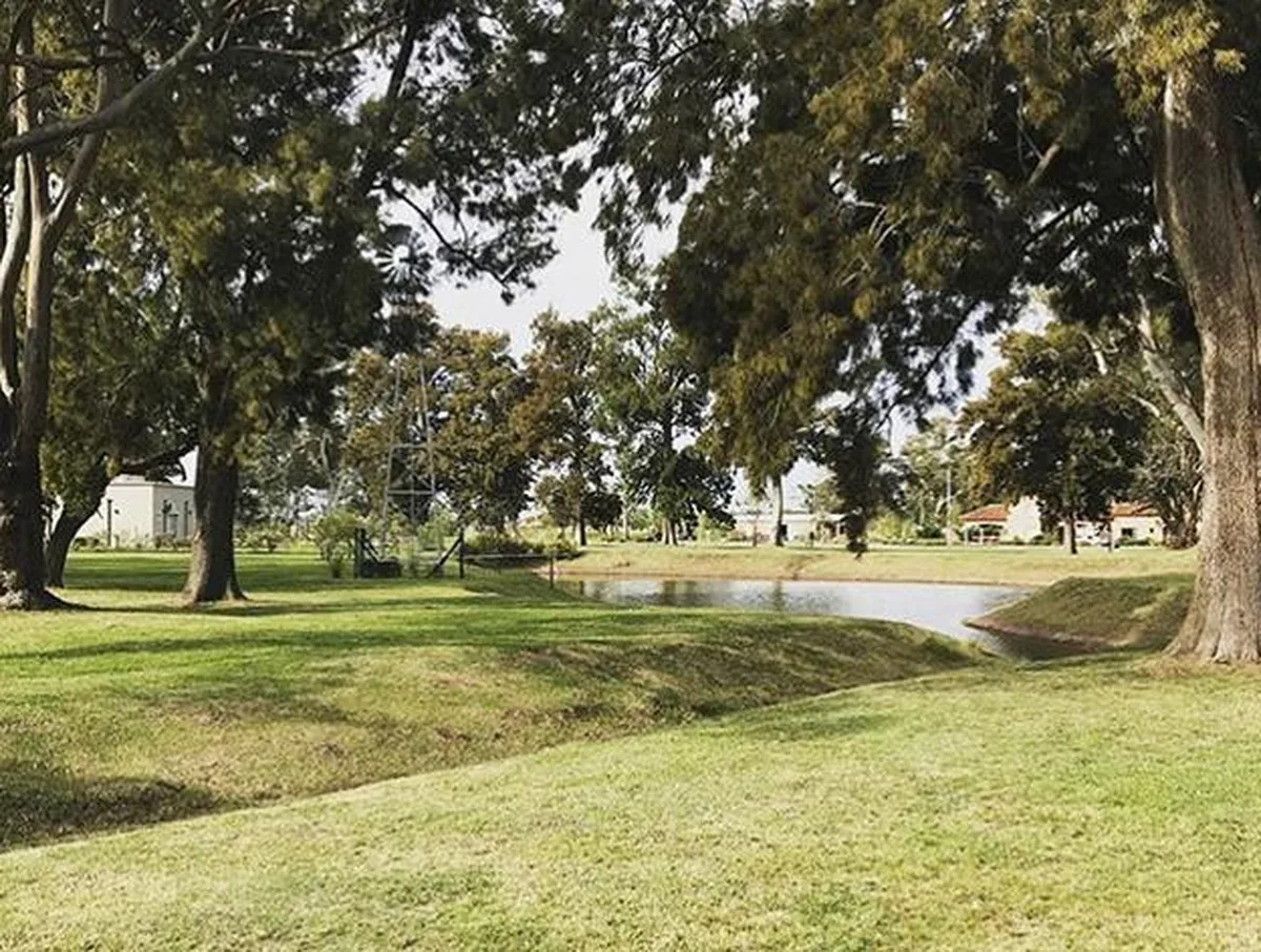 San Lucas Club de Campo - Lote: 284 foto 5