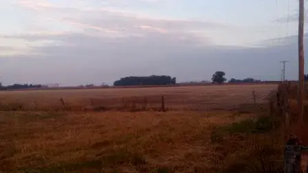 Campo en Pedernales 24 Has