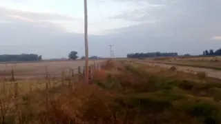 Campo en Pedernales 24 Has foto 2