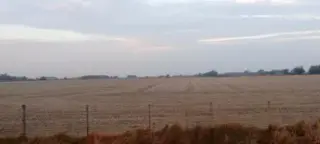 Campo en Pedernales 24 Has foto 3
