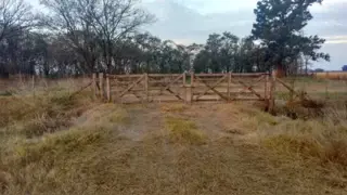 Campo en Pedernales 24 Has foto 5