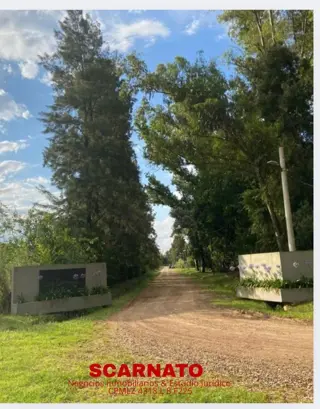 VENTA DE TERRENO EN LAS GARDENIAS-PETIÓN foto 1