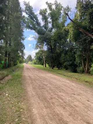 VENTA DE TERRENO EN LAS GARDENIAS-PETIÓN foto 3