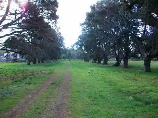 Oliveros:Terreno de 603 m2 en Venta en Barrio de Quintas Santa Fe, Argentina foto 3