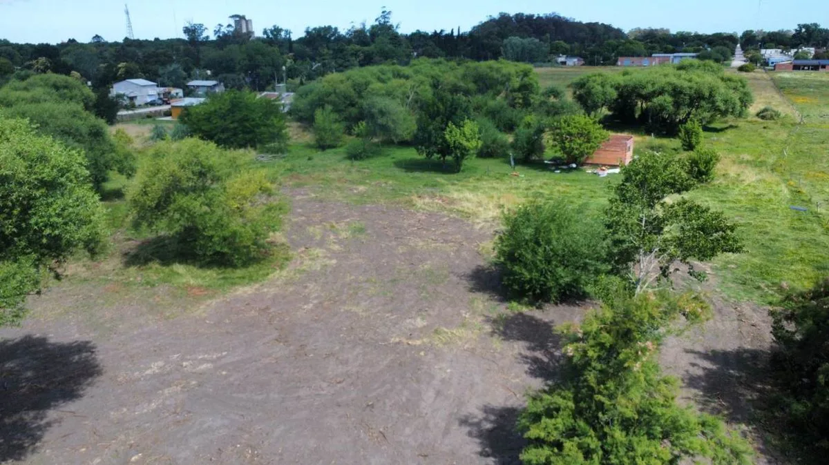 VENTA LOTE EN GENERAL MADARIAGA foto 2