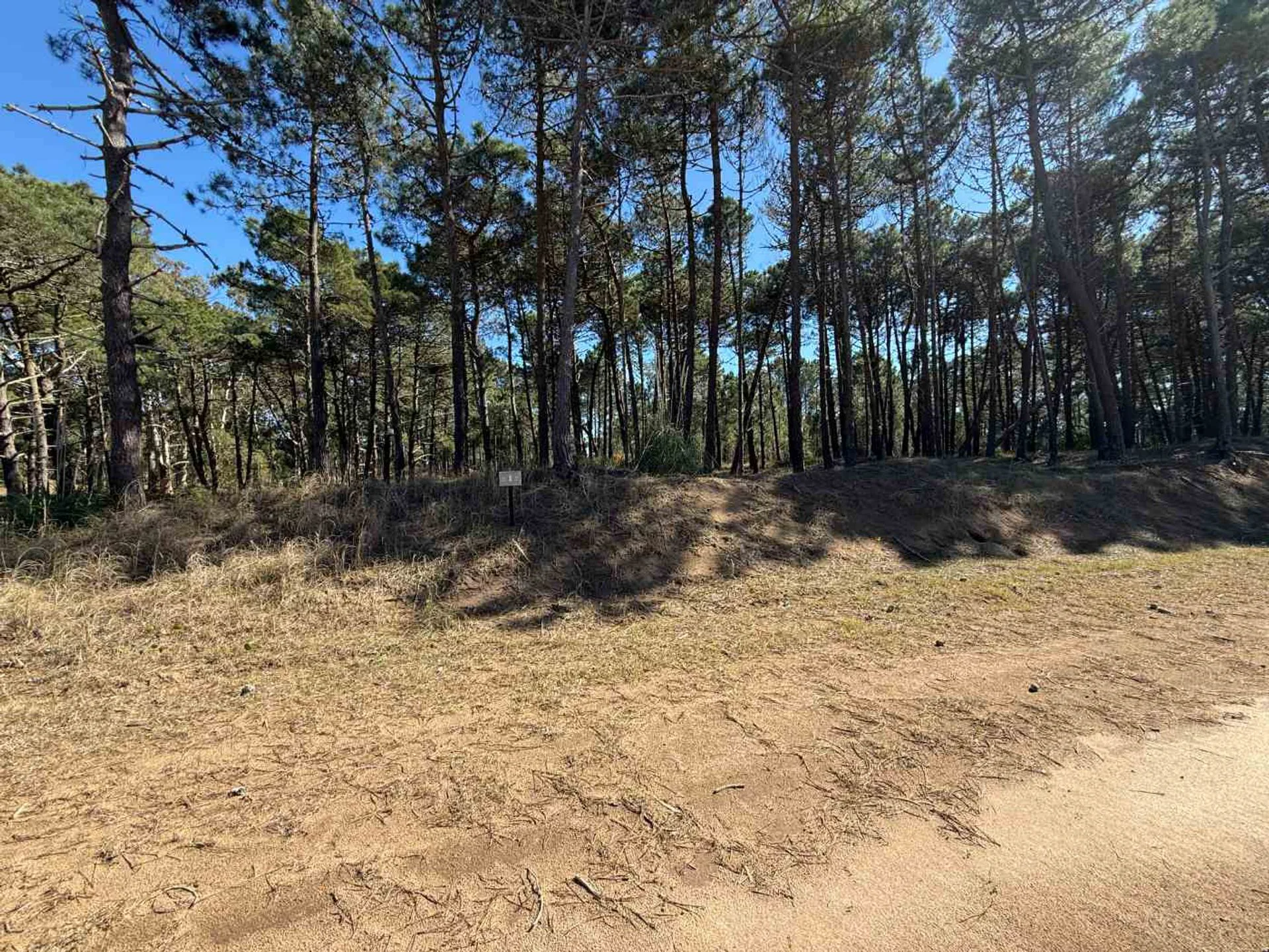 LOTE VENTA BARRIO BOSQUES PINAMAR NORTE foto 2