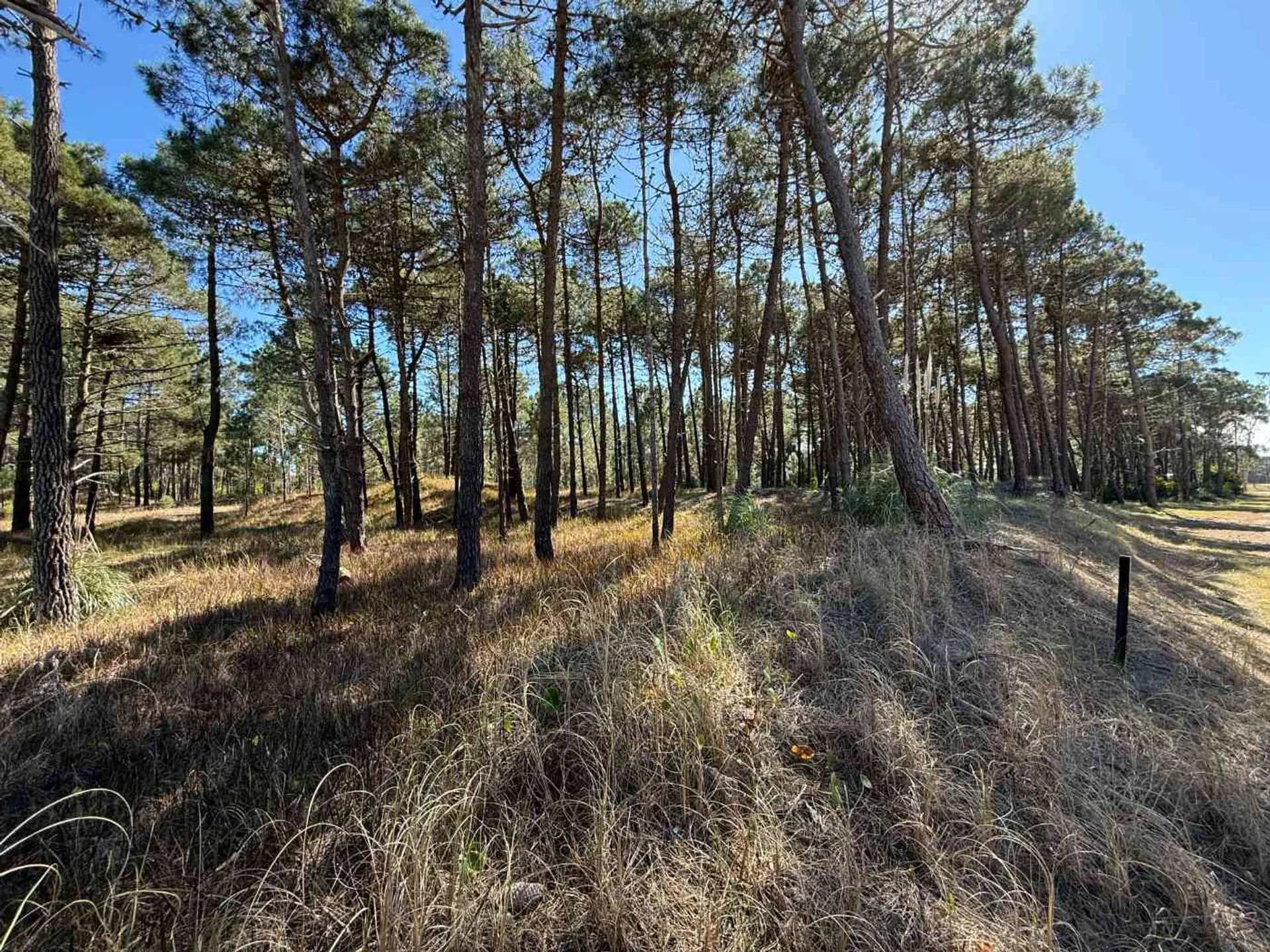 LOTE VENTA BARRIO BOSQUES PINAMAR NORTE foto 3