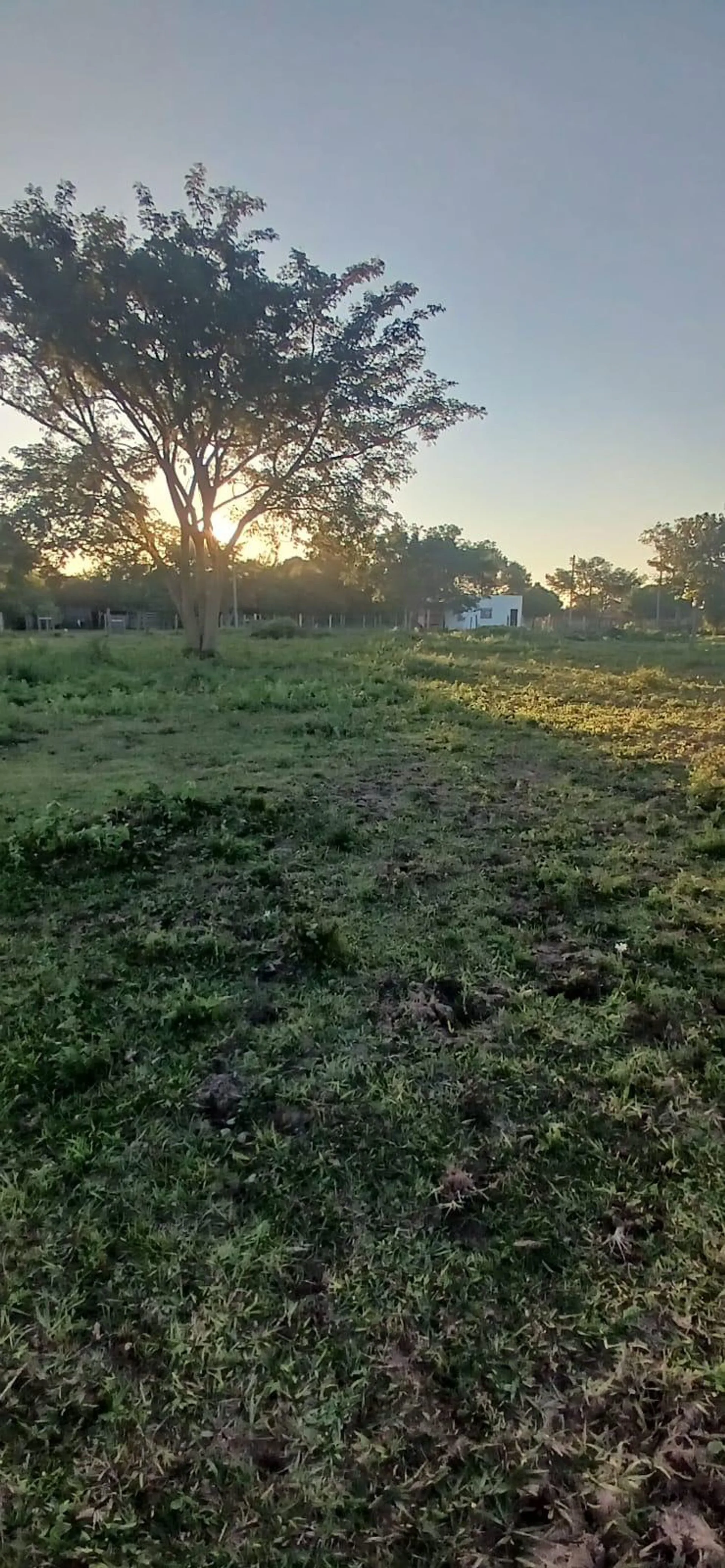 Terreno en venta en Yatay Ti Calle foto 4