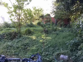 LOTE de 300 M2 CON MEJORAS foto 3