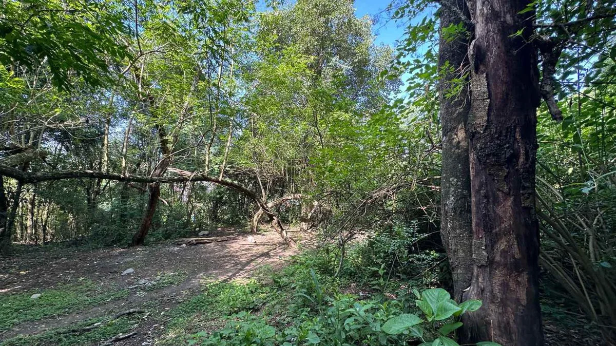 VENTA TERRENO 9667,20 M2 LOS PERALES foto 4