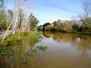 Isla en Venta en Islas, San Fernando, Buenos Aires foto 1