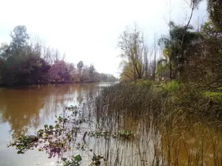 Isla en Venta en Islas, San Fernando, Buenos Aires foto 2