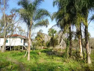 Isla en Venta en Islas, San Fernando, Buenos Aires foto 3