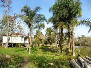 Isla en Venta en Islas, San Fernando, Buenos Aires foto 4