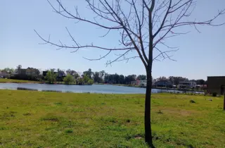 OPORTUNIDAD .LOTE AL LAGO  BARRIO SANTA ISABEL ETAPA 2 ING MASWICTCH foto 4