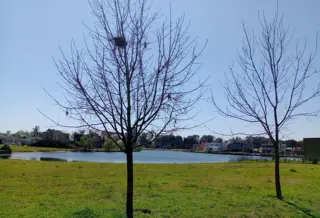 OPORTUNIDAD .LOTE AL LAGO  BARRIO SANTA ISABEL ETAPA 2 ING MASWICTCH foto 5