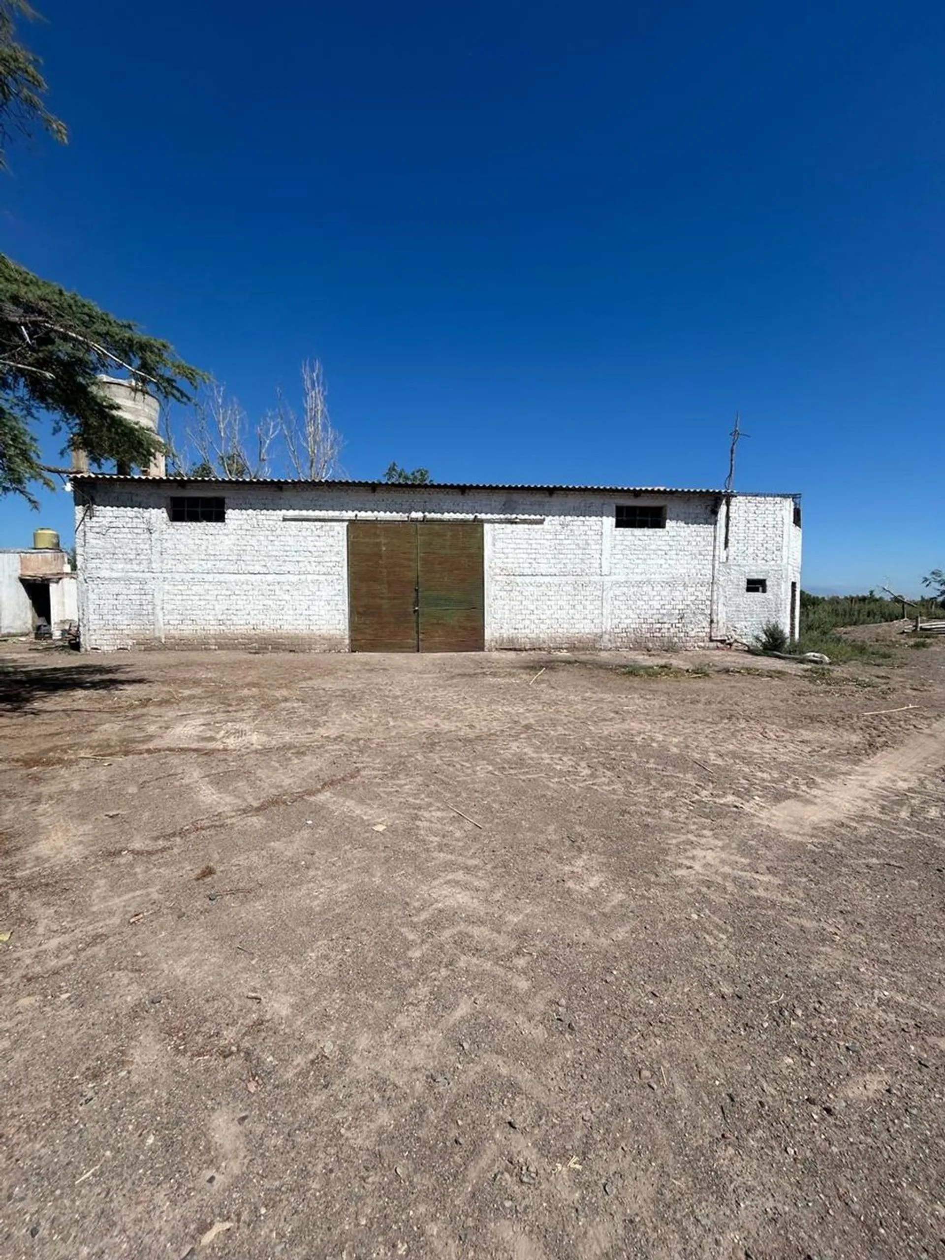 FINCA DE 25 Ha EN PRODUCCIÓN DE AJO foto 3