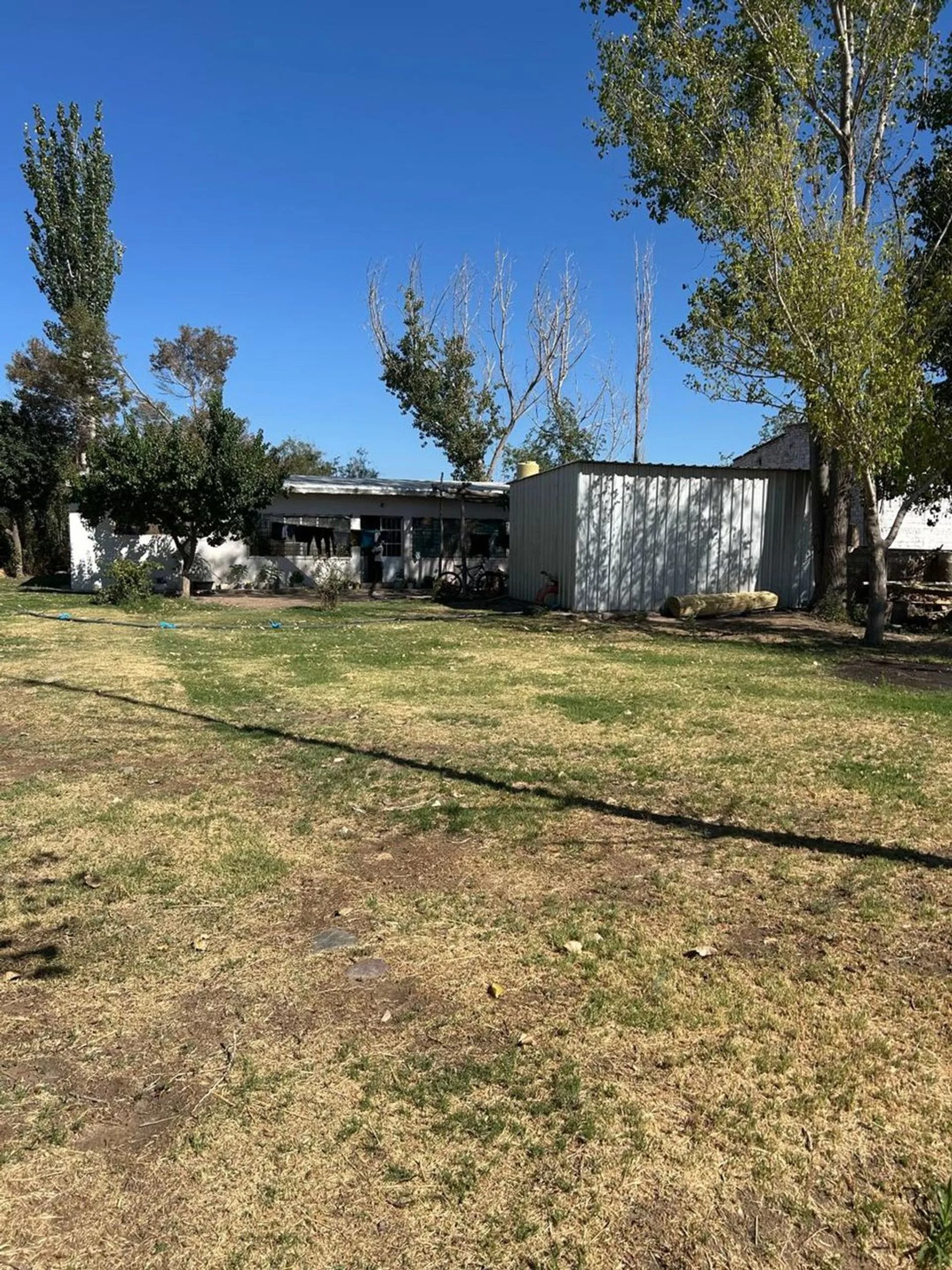 FINCA DE 25 Ha EN PRODUCCIÓN DE AJO foto 5