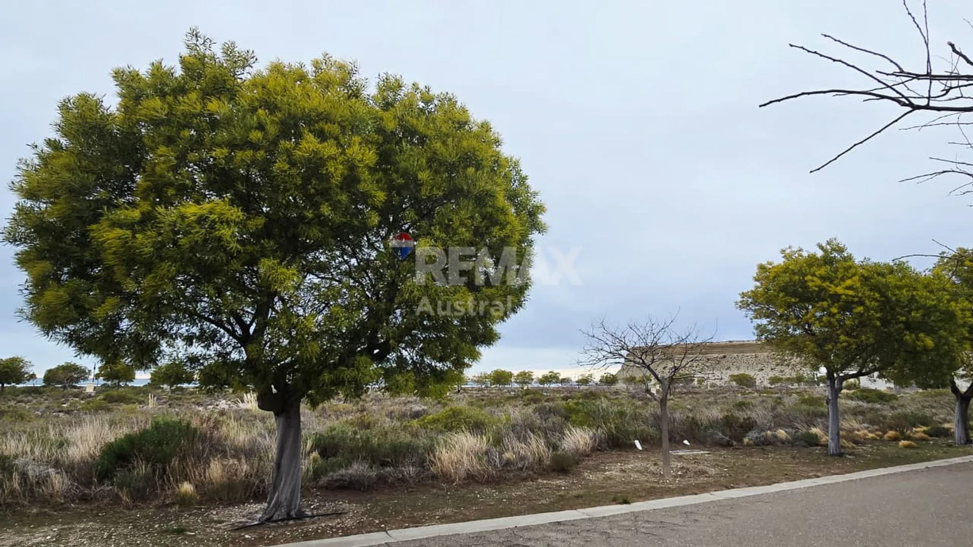 CASA DE PLAYA EN CONSTRUCCIÓN — LA HERRADURA foto 4