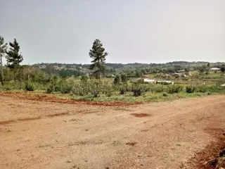 Lote 10 en Don Carlos: naturaleza, amplitud y una vista privilegiada foto 1