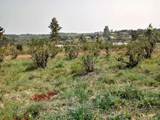 Lote 10 en Don Carlos: naturaleza, amplitud y una vista privilegiada foto 3