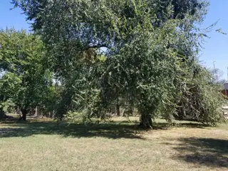 Lote Quinta 1100 M2 En Venta A Metros De Ruta 23, Moreno foto 3