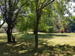 Lote Quinta 1100 M2 En Venta A Metros De Ruta 23, Moreno foto 4