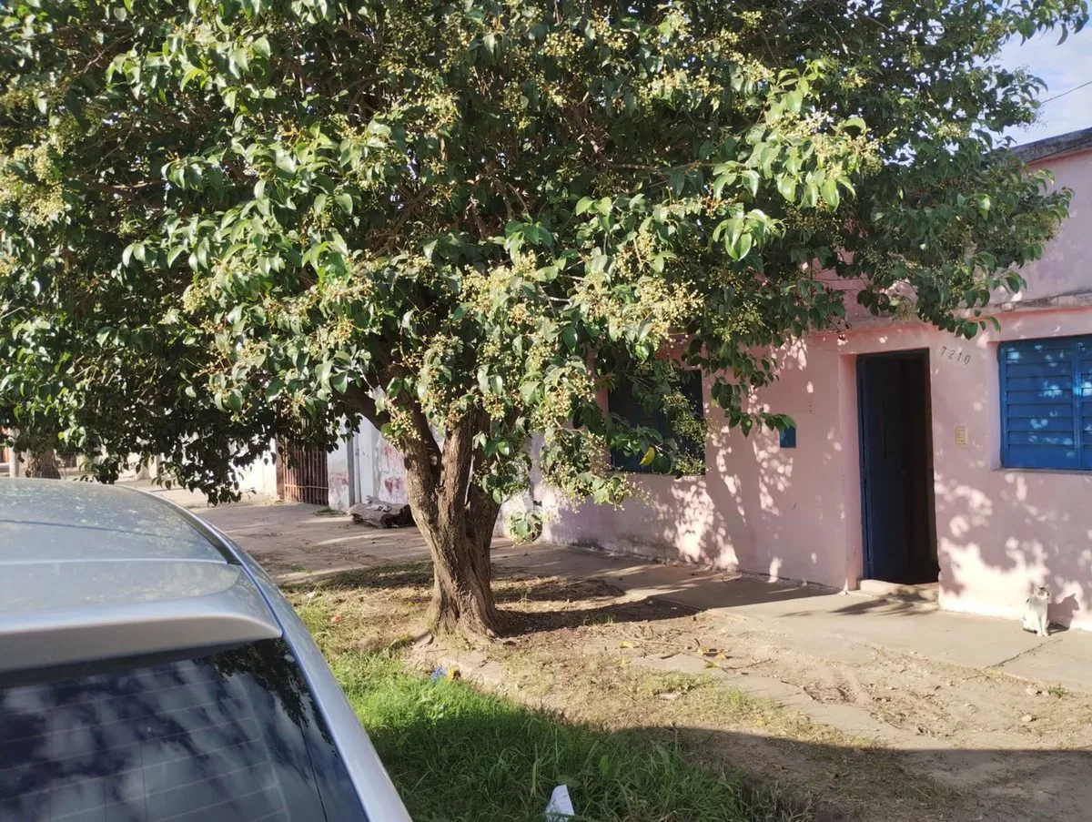 Venta Casa a Refaccionar Barrio San Martín foto 3