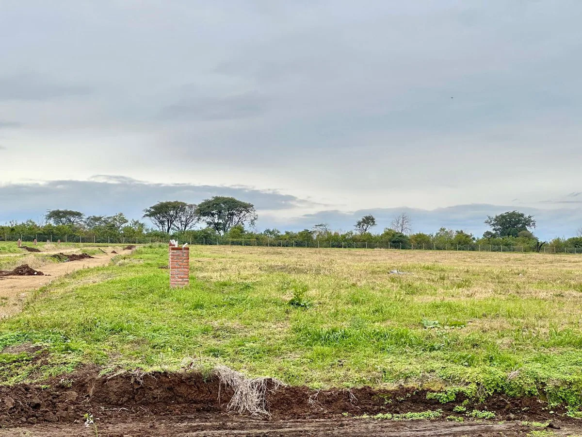 VENTA 2 LOTES JUNTOS 676 M2 – ALTO DE CEVIL 3 foto 3
