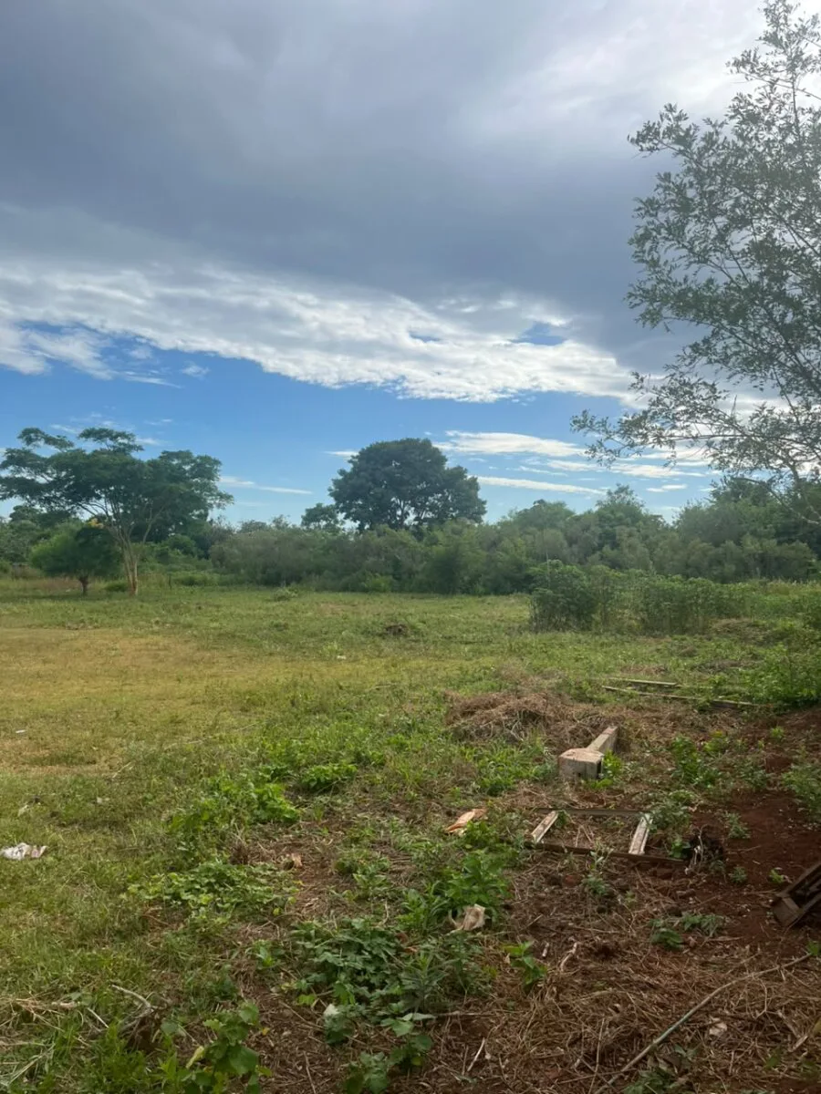 VENTA UNA HECTAREA N. PARMA POSADAS MISIONES foto 2