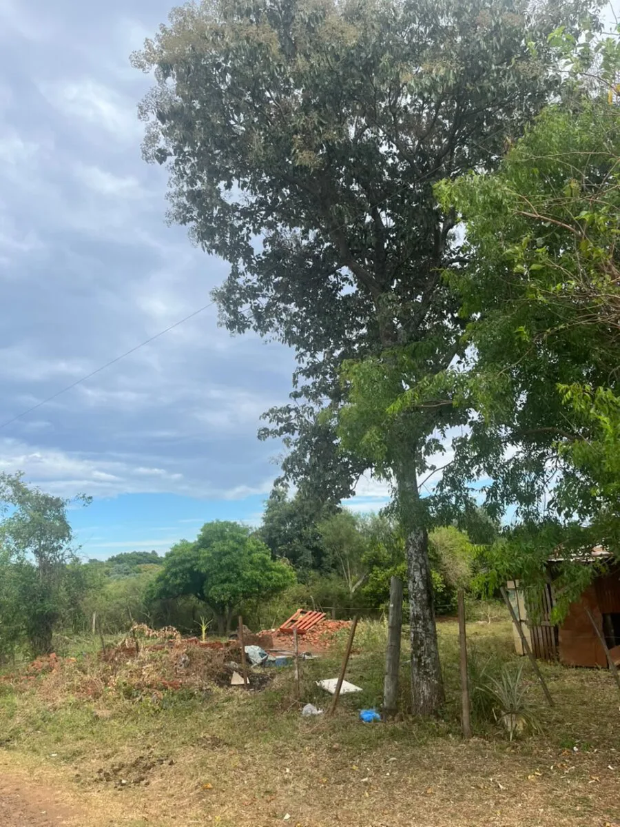 VENTA UNA HECTAREA N. PARMA POSADAS MISIONES foto 3
