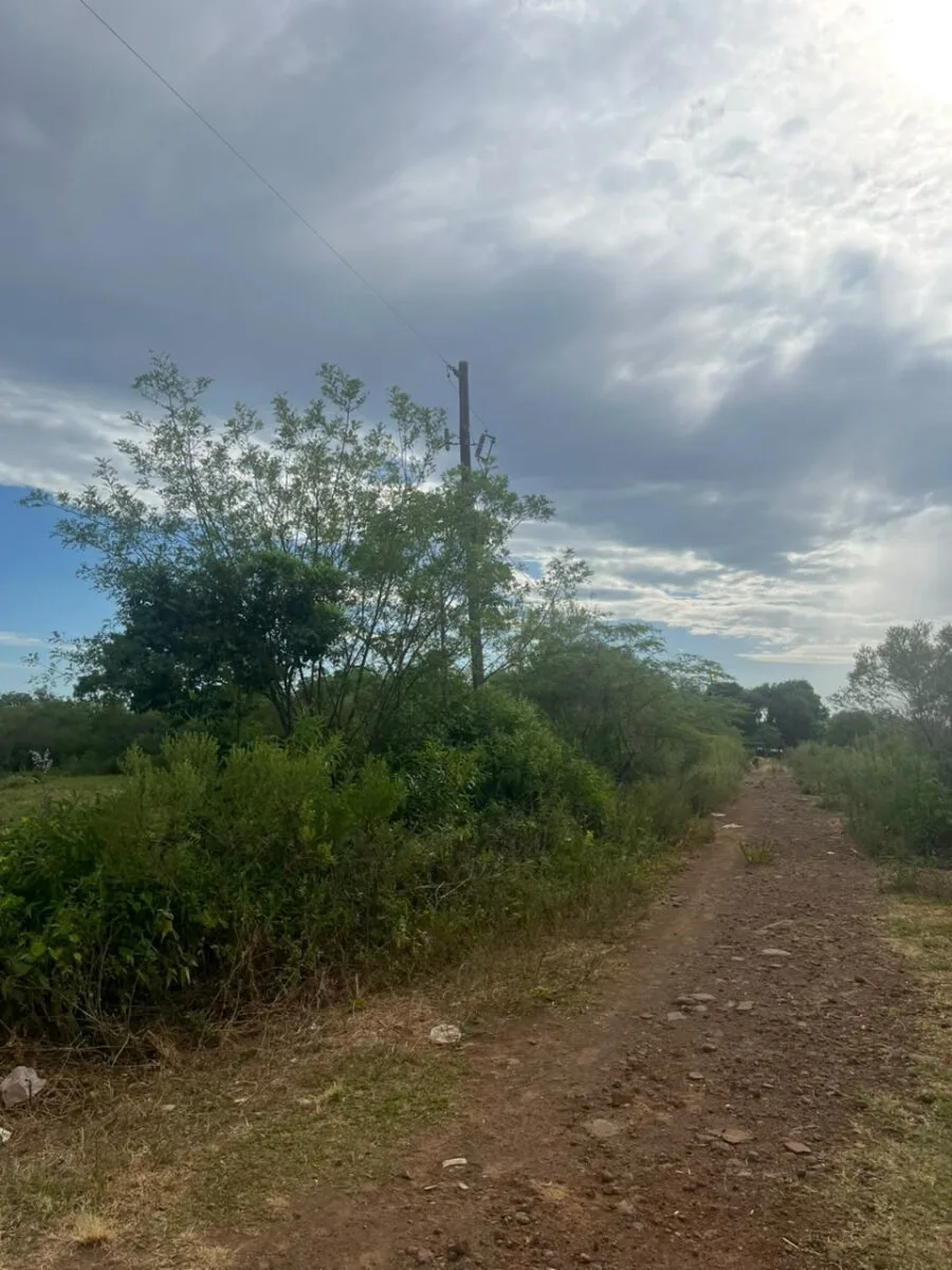 VENTA UNA HECTAREA N. PARMA POSADAS MISIONES foto 4