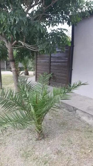 Ph de 3 ambientes en Ituzaingó foto 1