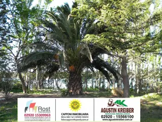SE VENDEN LOTES DE 1.800M2 CON ESCRITURA “LOTEO LOS SAUCES” foto 2