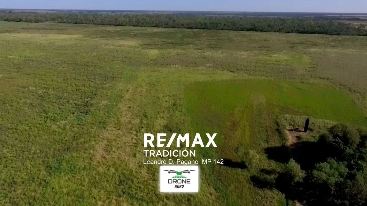Campo en Venta – 77has Colonia José Mármol foto 5