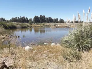 Lote en Barrio Privado Las Marías del Valle  -  a metros del Aeropuerto Chapelco. 1500 mts2 terreno plano con excelentes vistas. foto 4