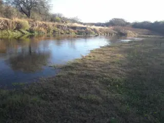 VENTA de Campo en Santa Rosa del Conlara. CON BAJADA AL RIO CONLARA. foto 1