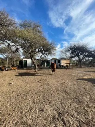 VENTA de Campo en Santa Rosa del Conlara. CON BAJADA AL RIO CONLARA. foto 2