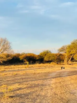 VENTA de Campo en Santa Rosa del Conlara. CON BAJADA AL RIO CONLARA. foto 3