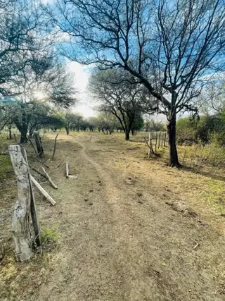 VENTA de Campo en Santa Rosa del Conlara. CON BAJADA AL RIO CONLARA. foto 5