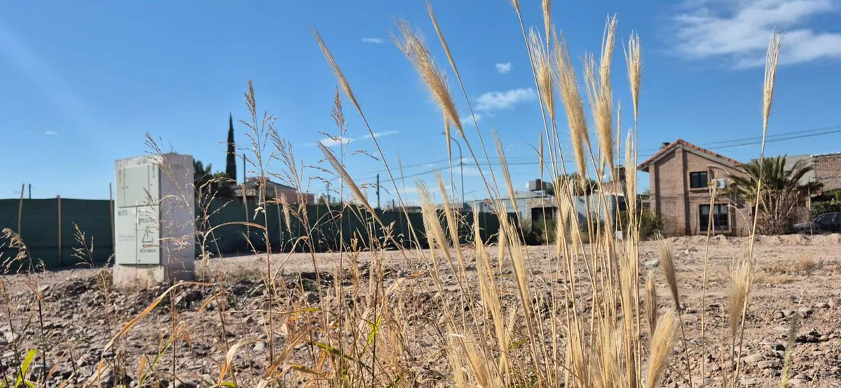Venta Lote en Barrio Privado Solar de Olivos Maipu foto 3
