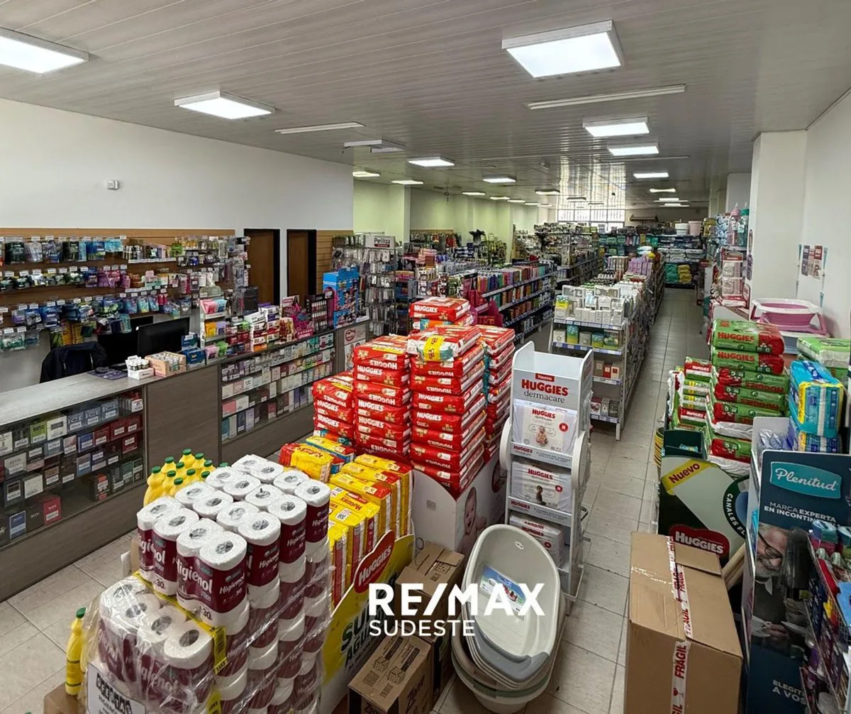 GRAN LOCAL COMERCIAL DONADO 500 EN PH foto 2