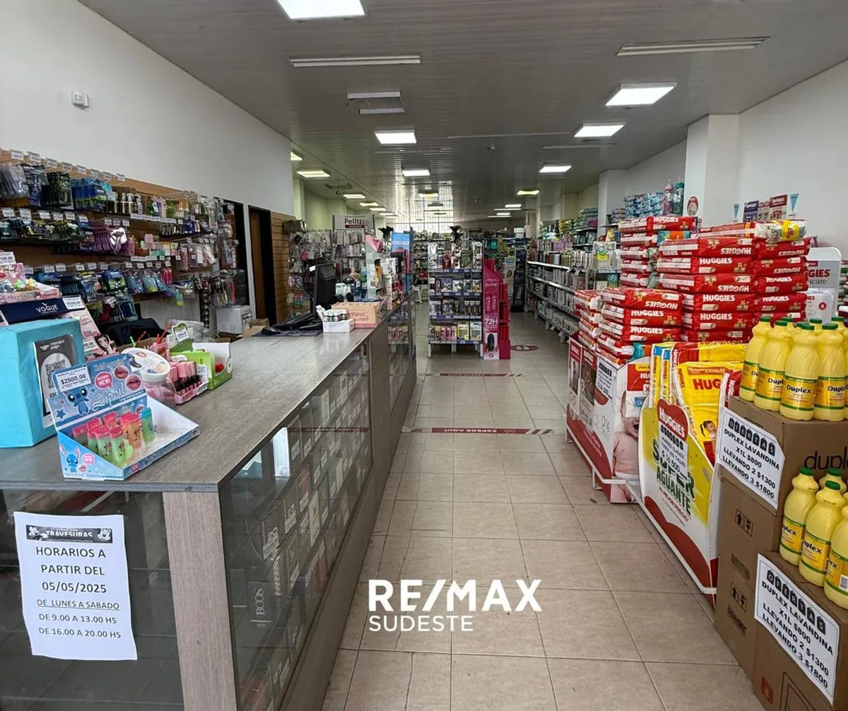 GRAN LOCAL COMERCIAL DONADO 500 EN PH foto 3